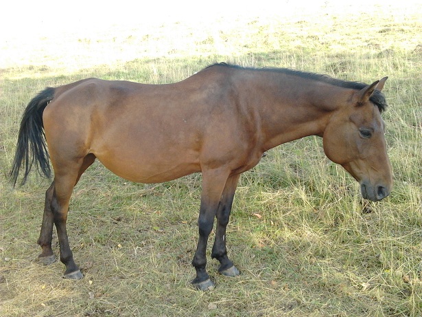 2012