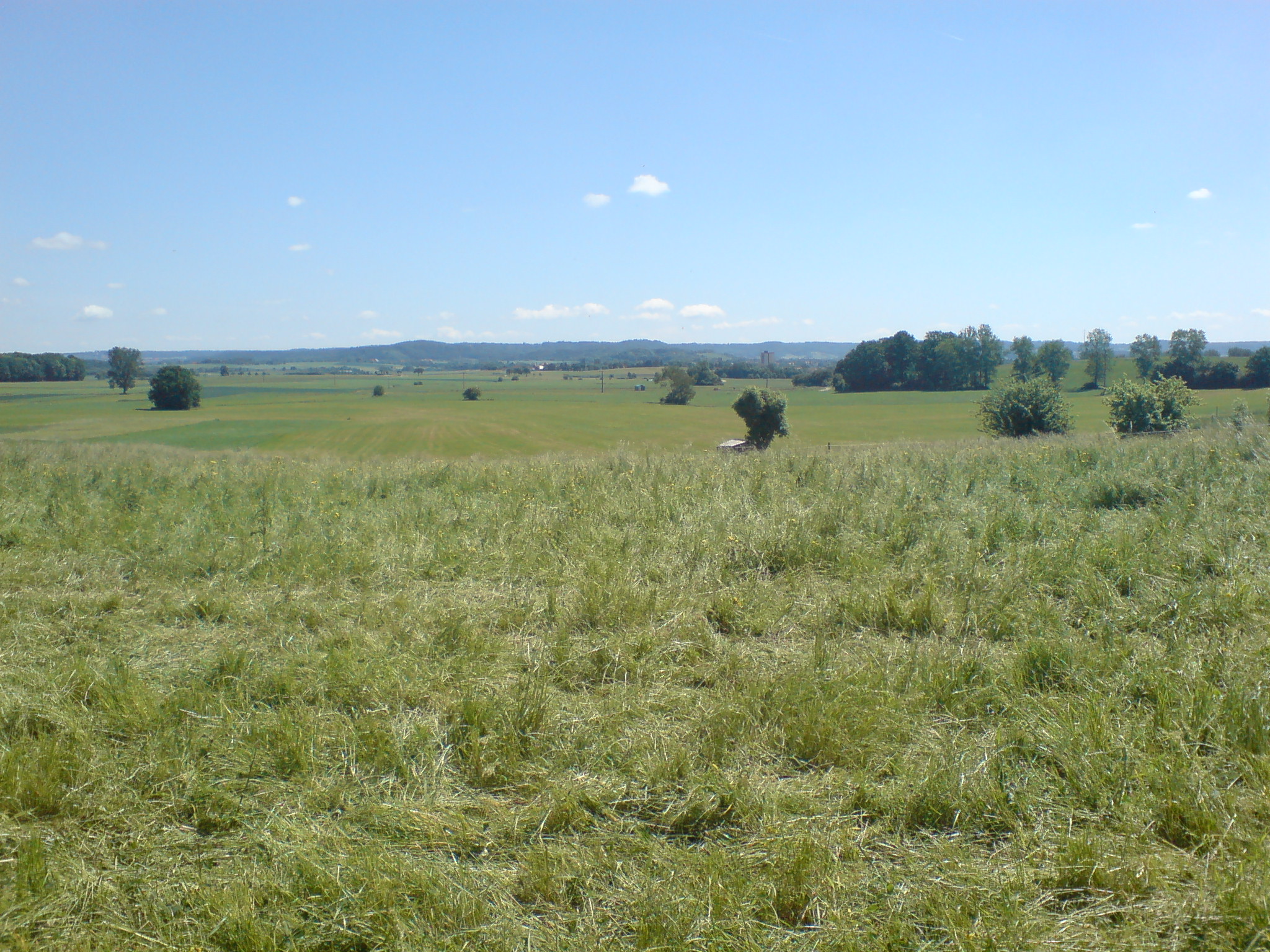 2008