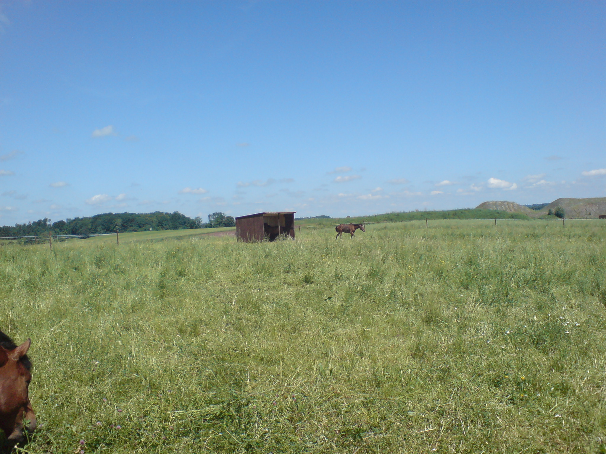 2008