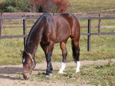 2009